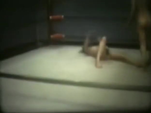 Vintage sottomissione wrestling 3
